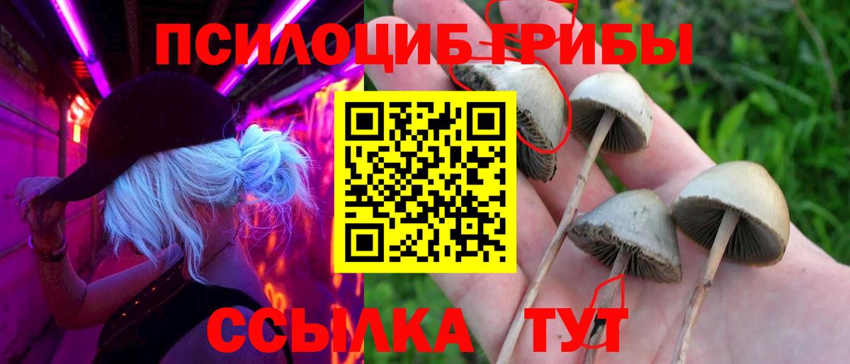Псилоцибиновые грибы MAGIC MUSHROOMS  Псилоцибиновые грибы мухоморы  Усолье-Сибирское  Вход с VPN 